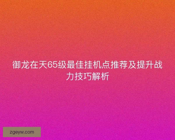 御龙在天65级最佳挂机点推荐及提升战力技巧解析