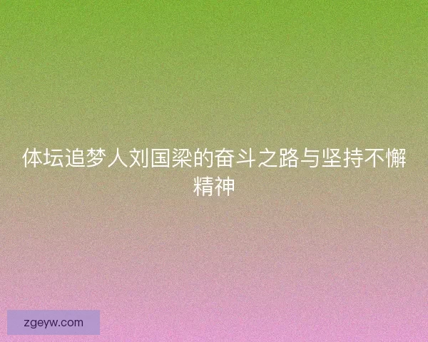 体坛追梦人刘国梁的奋斗之路与坚持不懈精神