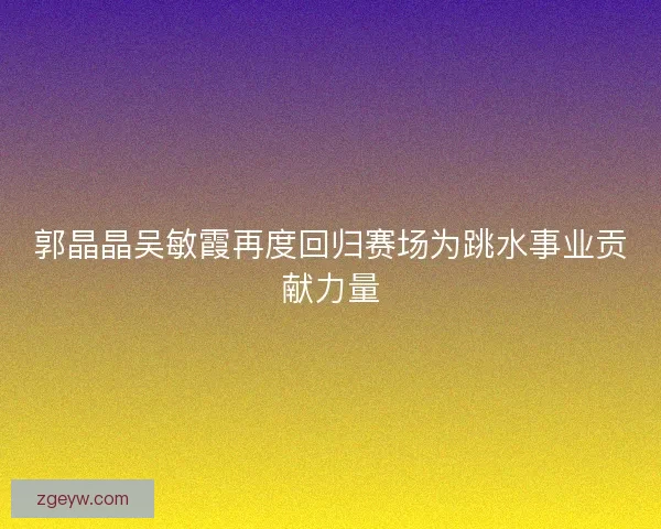 郭晶晶吴敏霞再度回归赛场为跳水事业贡献力量