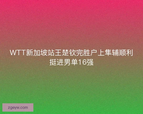 WTT新加坡站王楚钦完胜户上隼辅顺利挺进男单16强